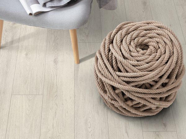 EPL034-Chene-Cortina-blanc. – Image 2