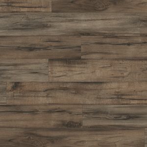 EPL076-Chene-de-Brynford-gris.