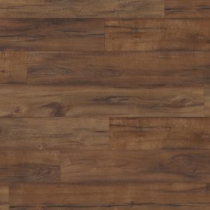 EPL078-Chene-de-Brynford-brun11.