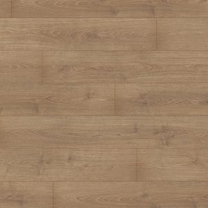 EPL081-Chene-du-Nord-brun