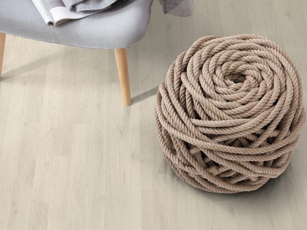 EPL093-Chene-blanc-polaire – Image 2