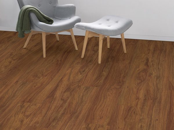 EPL174-Bois-Agira-brun. – Image 2