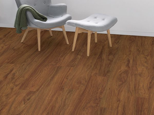 EPL174-Bois-Agira-brun2. – Image 2